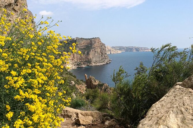 Coastal Cliffs & Beaches: Private Full Day Tour - Tour Inclusions