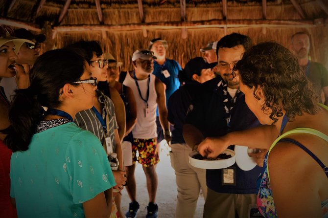 Coba and Tulum, Cenote Swim and Buffet Lunch - The Sum Up