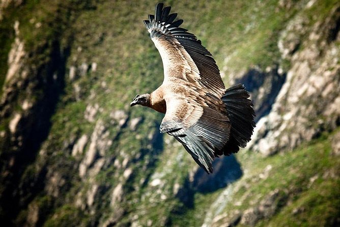 Colca Canyon: 2 Day Tour From Arequipa - Meeting and Pickup