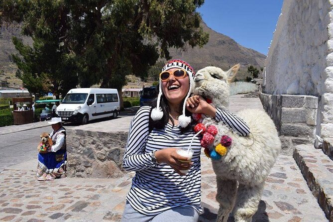 Colca Full Day - Reviews