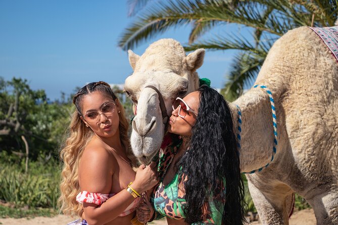 Combo Camel Ride and Extreme Side by Side in Cabo - Directions