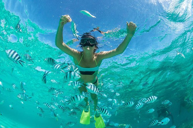 Coral Island Half-day Tour - Common Questions