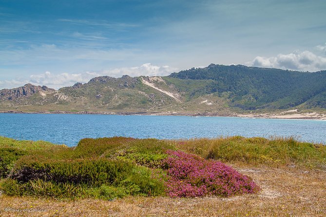 Costa Da Morte/Finisterre From La Coruña Private Tour/Shore Excursion - Common Questions