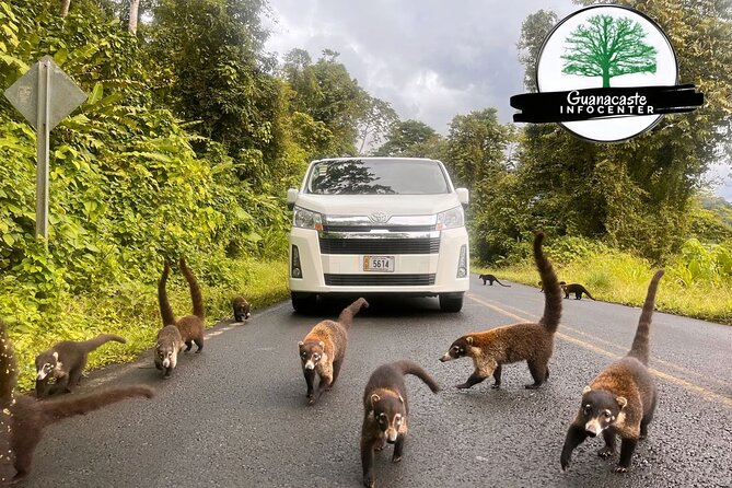 Costa Rica Private Airport Transfer - Cancellation Policy