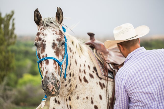 Cowpoke Ride: Horseback Adventure Through Sedonas Wine Country - The Sum Up
