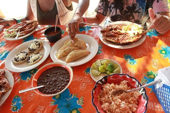 Coyuca Lagoon Countryside Baby Turtle Release Lunch & Boat Ride - The Sum Up