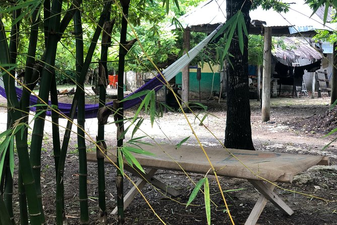Cozumel Farm To Table Experience!!! - Negative Reviews and Issues Faced by Travelers