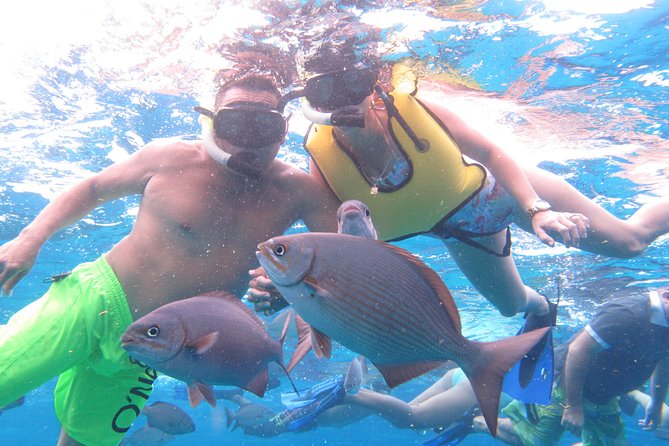 Cozumel Snorkeling Tour: Palancar, Columbia and Cielo Reefs - Additional Charges and Fees