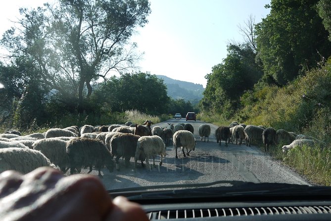 Crete Margarite Amari Valley and Spili Small-Group Tour  - Heraklion - Common Questions