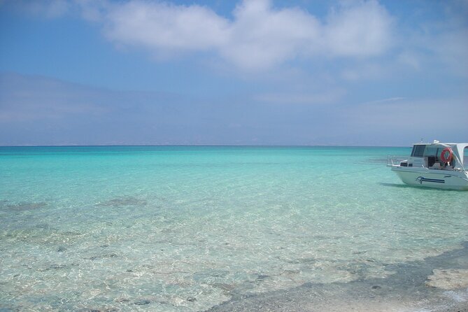 Cruise to Chrissi Island With Lunch Included, and Ierapetra Town - The Sum Up