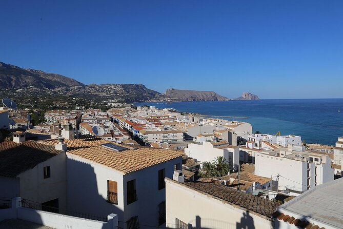 Cruise With BBQ on Board and Dinner in Altea Old Quarter - Common Questions