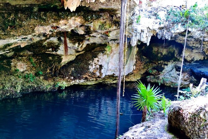 Cultural Cancun City Private Tour, Mayan Museum, Cenote and Lunch - Common Questions