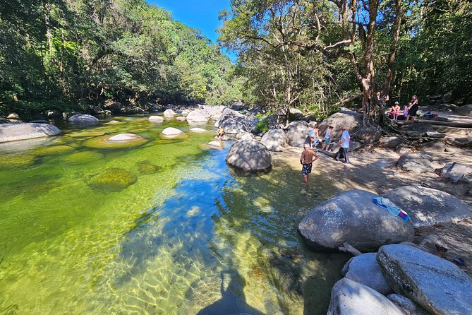 Daintree Rainforest, Mossman Gorge and Aboriginal Beach Day Tour - The Sum Up