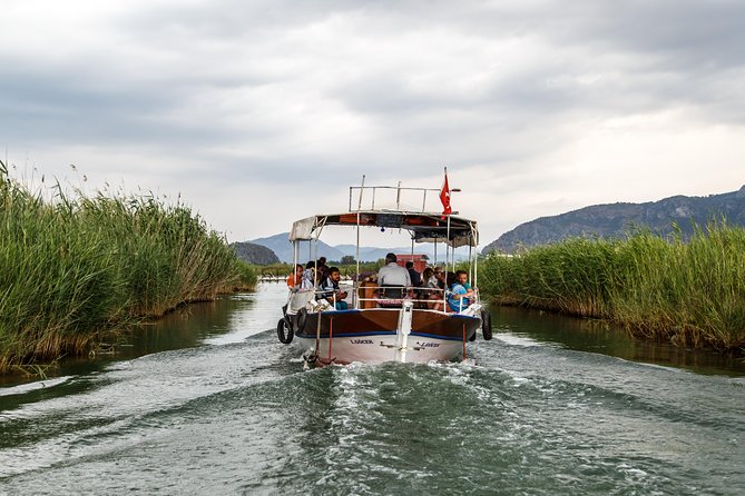 Dalyan Mud Baths and Turtle Beach Day Trip From Bodrum - The Sum Up
