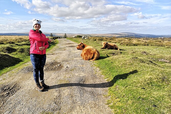 Dartmoor: Land Rover Discovery Private Driving Tour  - Devon - The Sum Up