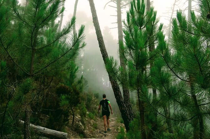 Day Hike in the Mountains of Sanremo - Pickup Location Options