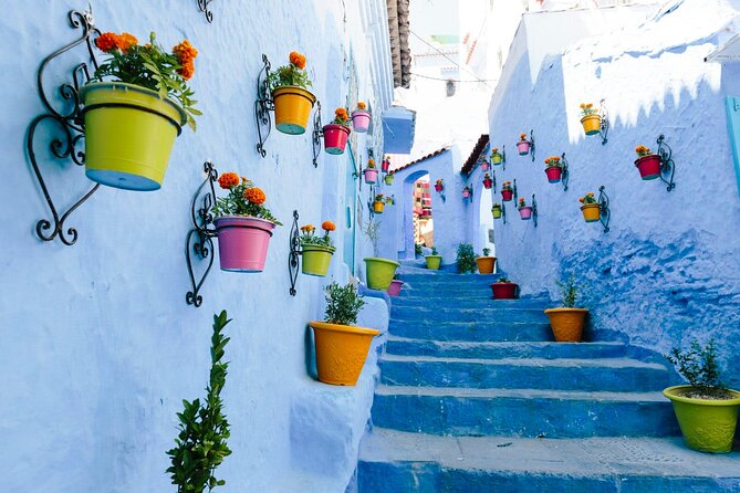 Day Trip Chefchaouen From Tangier - Highlights of the Medina