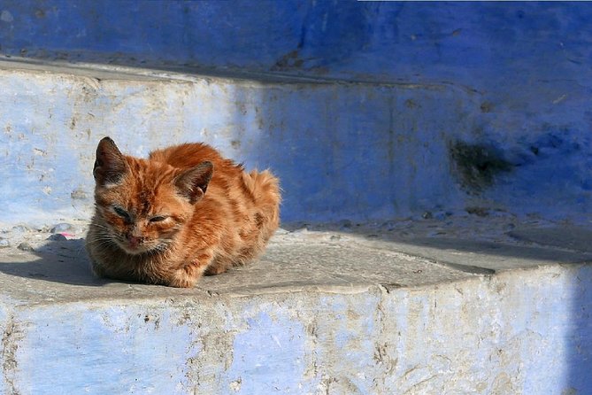 Day Trip From Fes to Chefchaouen - Common Questions