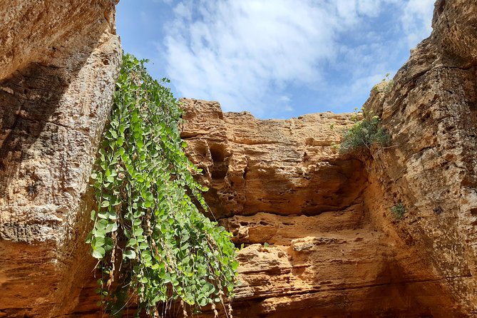Day Trip off the Beaten Track to Cap Bon From Tunis or Hammamet - Unique Experiences in Cap Bon
