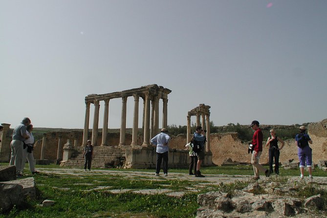 DAY TRIP TO Dougga & Bulla Regia , DEPARTURE FROM Tunis - Pricing