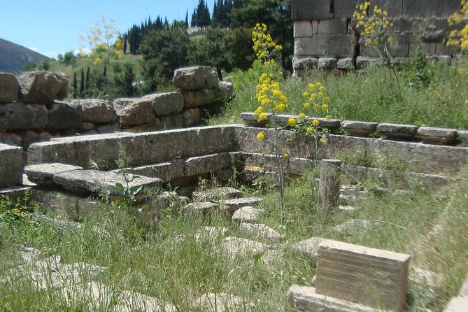 Delphi Self-Guided Audio Tour on Your Phone (No Ticket) - Common Questions