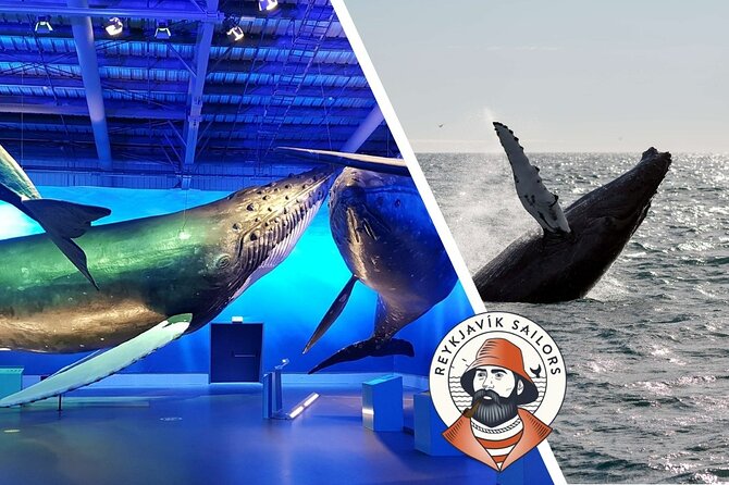 Deluxe Whale Watching and Whales of Iceland Exhibition Combo From Reykjavik - The Sum Up