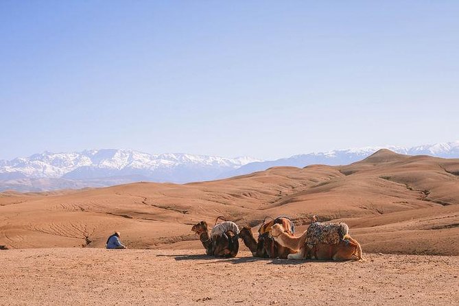 Desert Agfay Day Trip From Marrakech And Atlas Mountains & Camel Safari - Common Questions