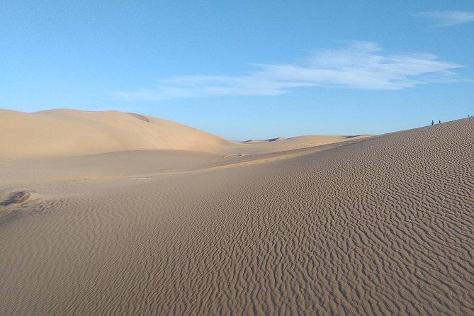 Desert and Wild Beach Day Trip With Meal - The Sum Up