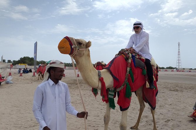 Desert Combo Safari, Camel Ride, Quad Bike and Dune Bashing(All Inclusive) - Directions