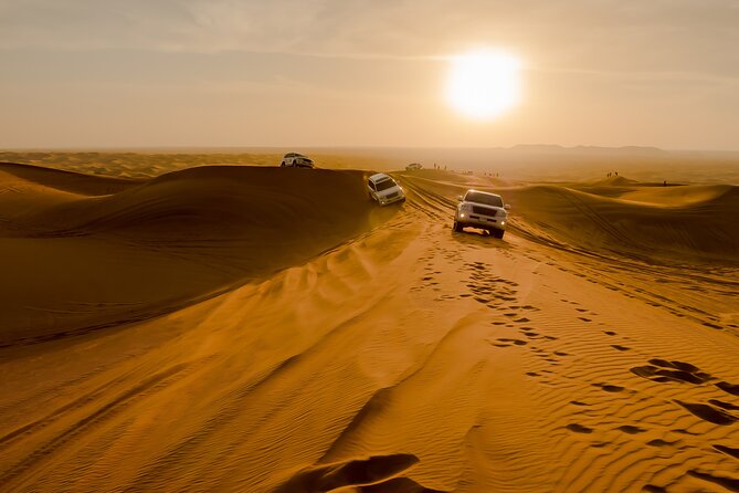 Desert Safari, Dinner, Shows, Camel Ride, Sand Boarding & Photos - The Sum Up