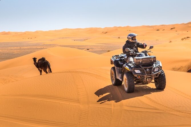Desert Safari Dubai - Benefits of Desert Safari Dubai