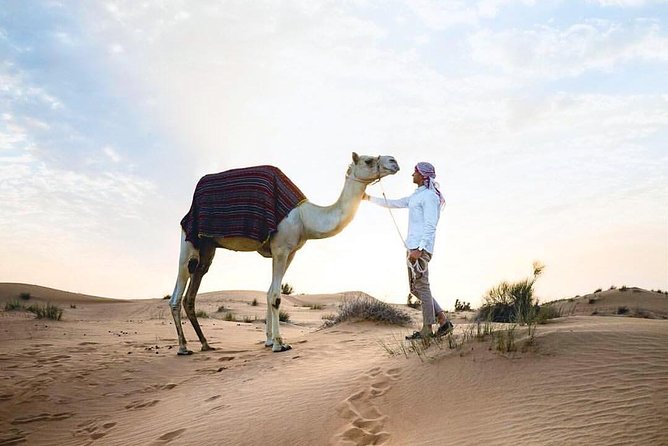 Desert Safari From Sharjah - Reviews and Feedback From Previous Guests