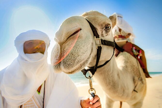 Desert & Sea, Camel Safari Tour in Los Cabos With Lunch - Cancellation Policy and Reviews