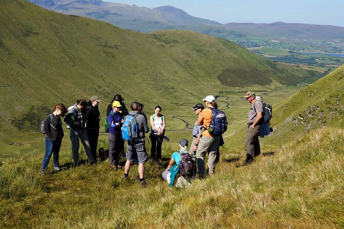 Dingle Peninsula Guided Walking Tour - The Sum Up