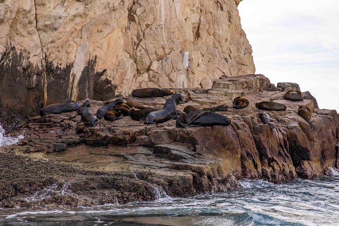 Dinner Cruise Tour in Cabo San Lucas With Tequila Tasting - Product Code: 13221P6