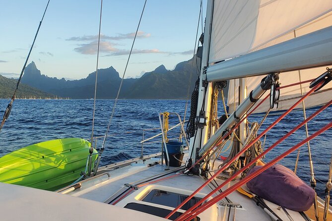 Discover Mori Ora Sailboat Navigation. 1/2 Day Morning/Sunset - Common Questions