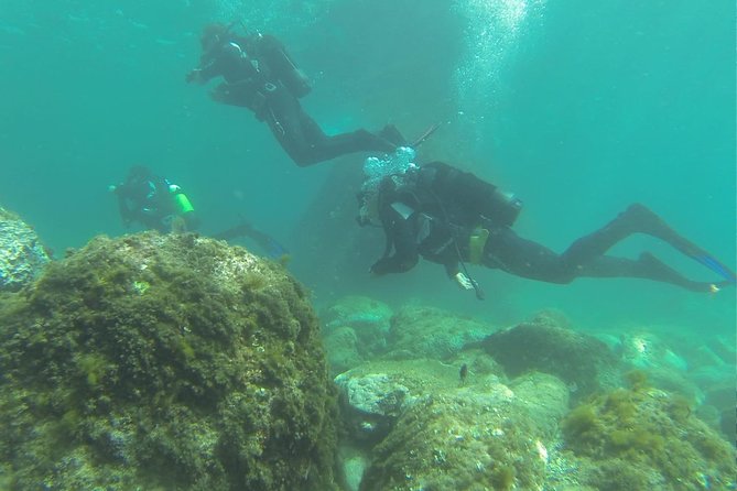 Discover Scuba Diving - How to Get Started With Scuba Diving Lessons