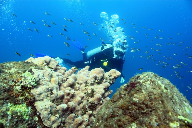 Discover Scuba Diving Around Los Cabos - Flexible Cancellation Policy for Peace of Mind