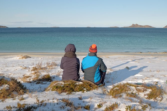 Discover the Fjords of Kvaloya - a Roadtrip Along Fjords and Fishing Villages - Wildlife Spotting and Scenic Views