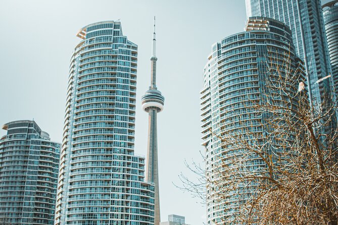 Discover Torontos Waterfront With a Smartphone Trivia Game! - The Sum Up