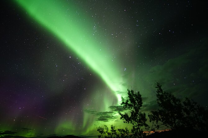 Discover Whitehorse With Northern Lights and Yukon Wildlife Tour - Common Questions