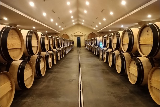 Discovery Day of the Médoc Classified Wines - Private Tour - The Sum Up