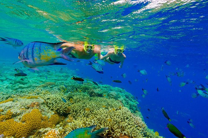 Discovery Package: Snorkeling Cruise and Dune Buggy Adventure at Punta Cana - Hosts Feedback and Delays