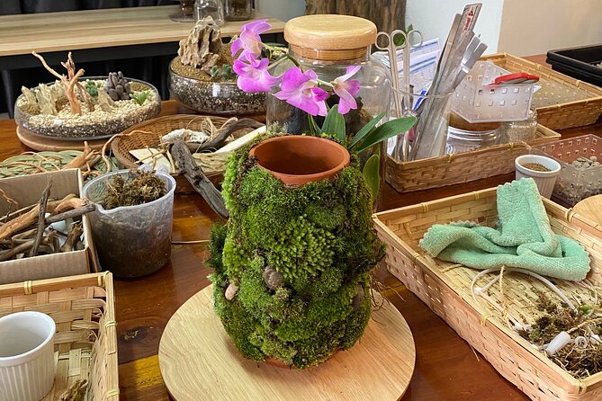 DIY Terrarium Workshop in Hua-Hin - Common Questions