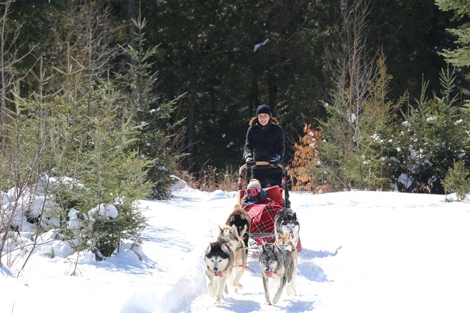 Dogsled Adventure in Mont-Tremblant - Cancellation Policy and Weather Conditions