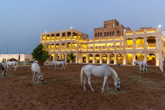 Doha City Highlights Guided Tour With Dhow Cruise - Itinerary Overview