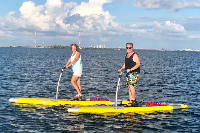 Dolphin & Manatee Watching Stand Up Pedalboarding Tour - Pedalboarding Introductory Lesson