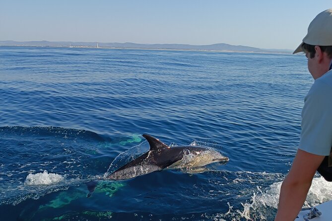 Dolphin Watching 2 Islands Tour - From Faro - Good To Know