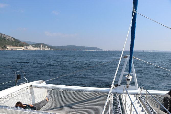 Dolphin Watching Tour by Catamaran From Lisbon - Additional Information