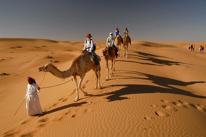 Drive Dune Buggy Dubai, Dinner, Live Shows /W Private Transfers - Safety Measures and Equipment Provided